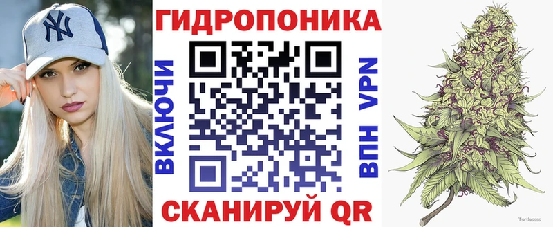 Конопля VHQ ссылка на мегу ССЫЛКА Кирово-Чепецк магазин наркотиков